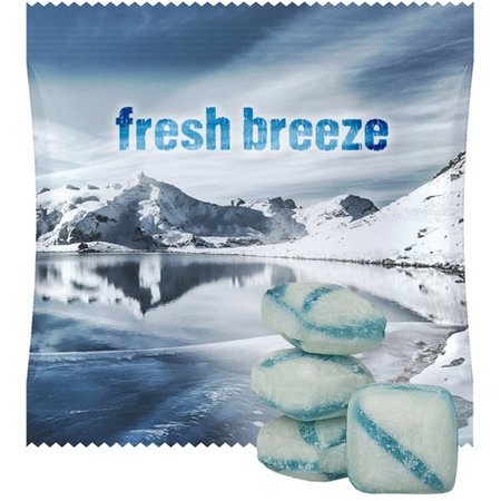 Frische Briese Bonbons ca. 15g in Midi-Tüte mit Logo