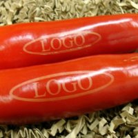 rote Logo-Peperoni