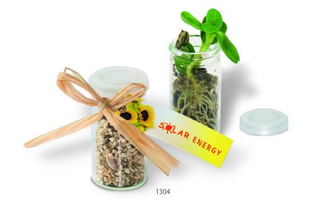 Mini-Glashaus Zwergsonnenblume mit Werbung oder Logo