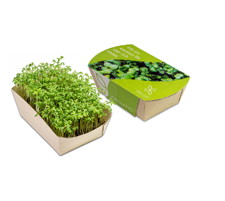 Microgreens-Gärtchen mit Logo als Werbegeschenk