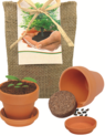 Pflanze deinen Baum kleines Natur-Säckchen mit Werbung oder Logo