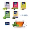Premium-Tee im Werbebriefchen Füllvarianten mit Werbung oder Logo