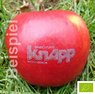 Logo-Apfel BIO