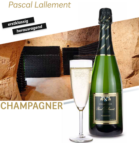 Champagner mit Werbedruck auf Etikett (oder Direktdruck)