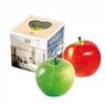 Premium-Werbeapfel in der Promotion-Box, Logo