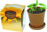 Easy Wachstums Topf Sonne mit Werbung oder Logo