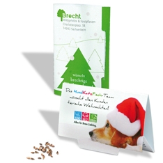 Forest-Card