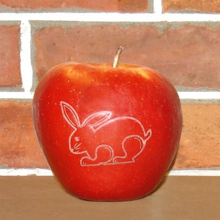 Roter Laser-Apfel mit Osterhase "Langohr"