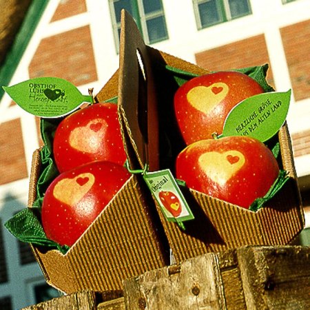 4 Herzäpfel in Apple Tray verpackt