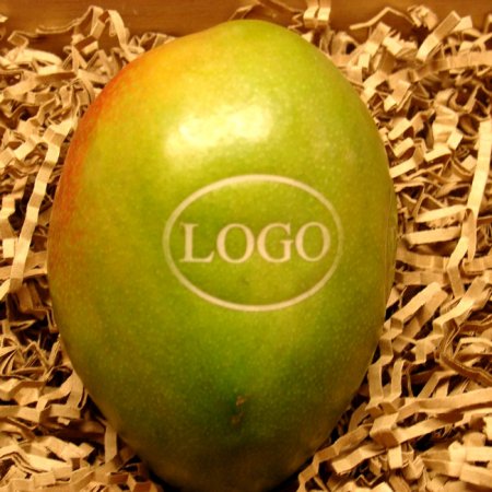 Mango mit Logo gelasert