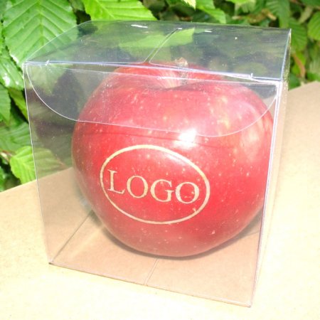 roter Logo-Apfel Laser im transparentem Würfel